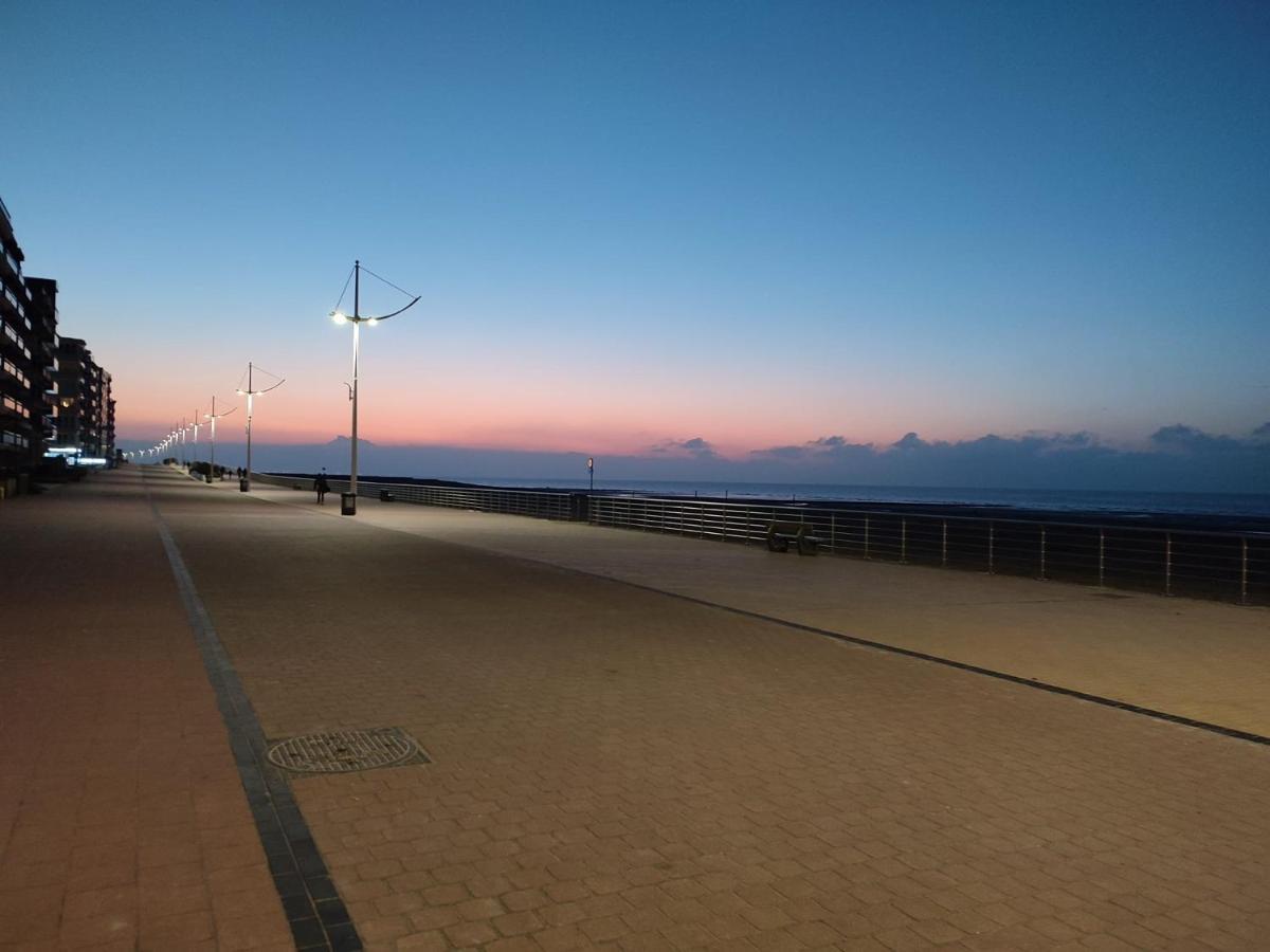 Zilverzand Aan Zee - Frontaal Zeezicht Koksijde Dış mekan fotoğraf